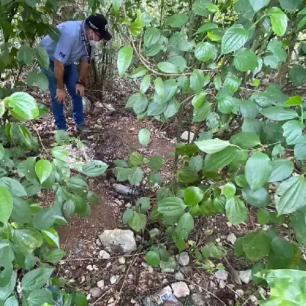 Célula del CJNG asesinó a 13 personas en Cancún, entre ellas a empresarios.