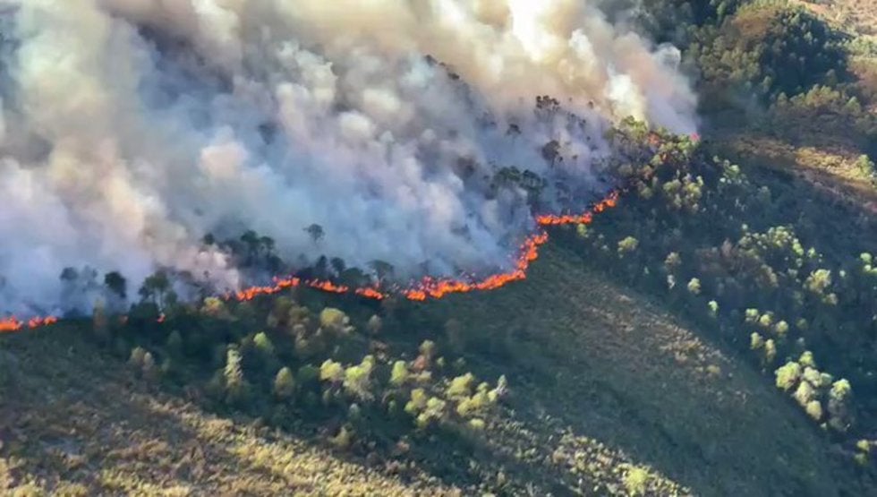 Afecta 1,200 hectáreas incendio en Sierra Santiago, Nuevo León; informa Protección Civil que hasta el momento el más grande en México.