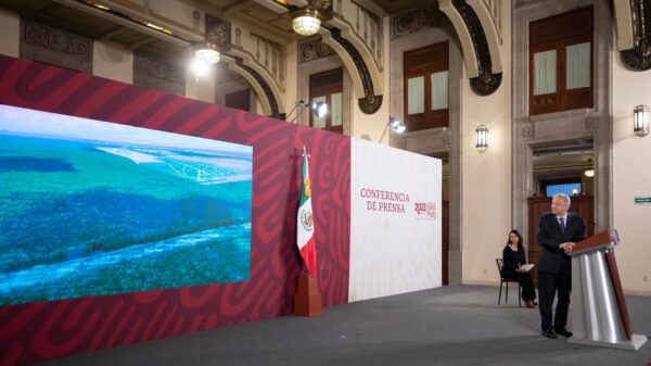 Tren Maya los hizo “ambientalistas”, en realidad son “vividores”: AMLO