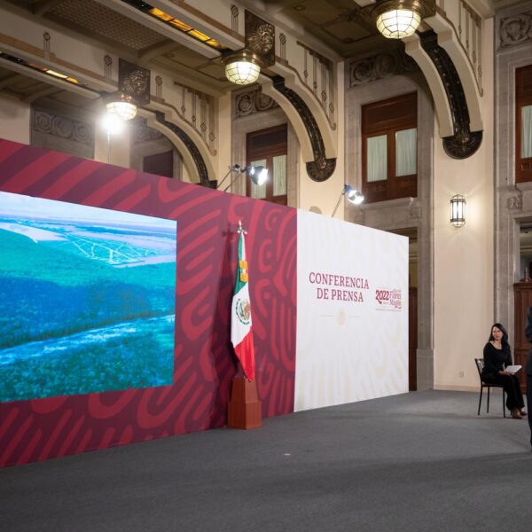 Tren Maya los hizo “ambientalistas”, en realidad son “vividores”: AMLO