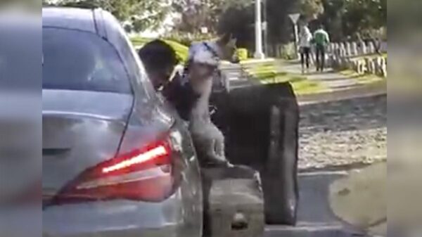 Sujeto adinerado abandona a perrito "por corriente" y es perseguido