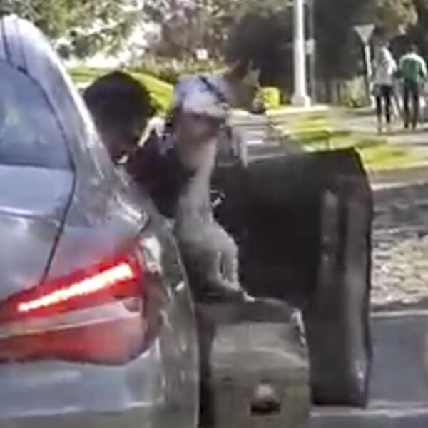 Sujeto adinerado abandona a perrito "por corriente" y es perseguido