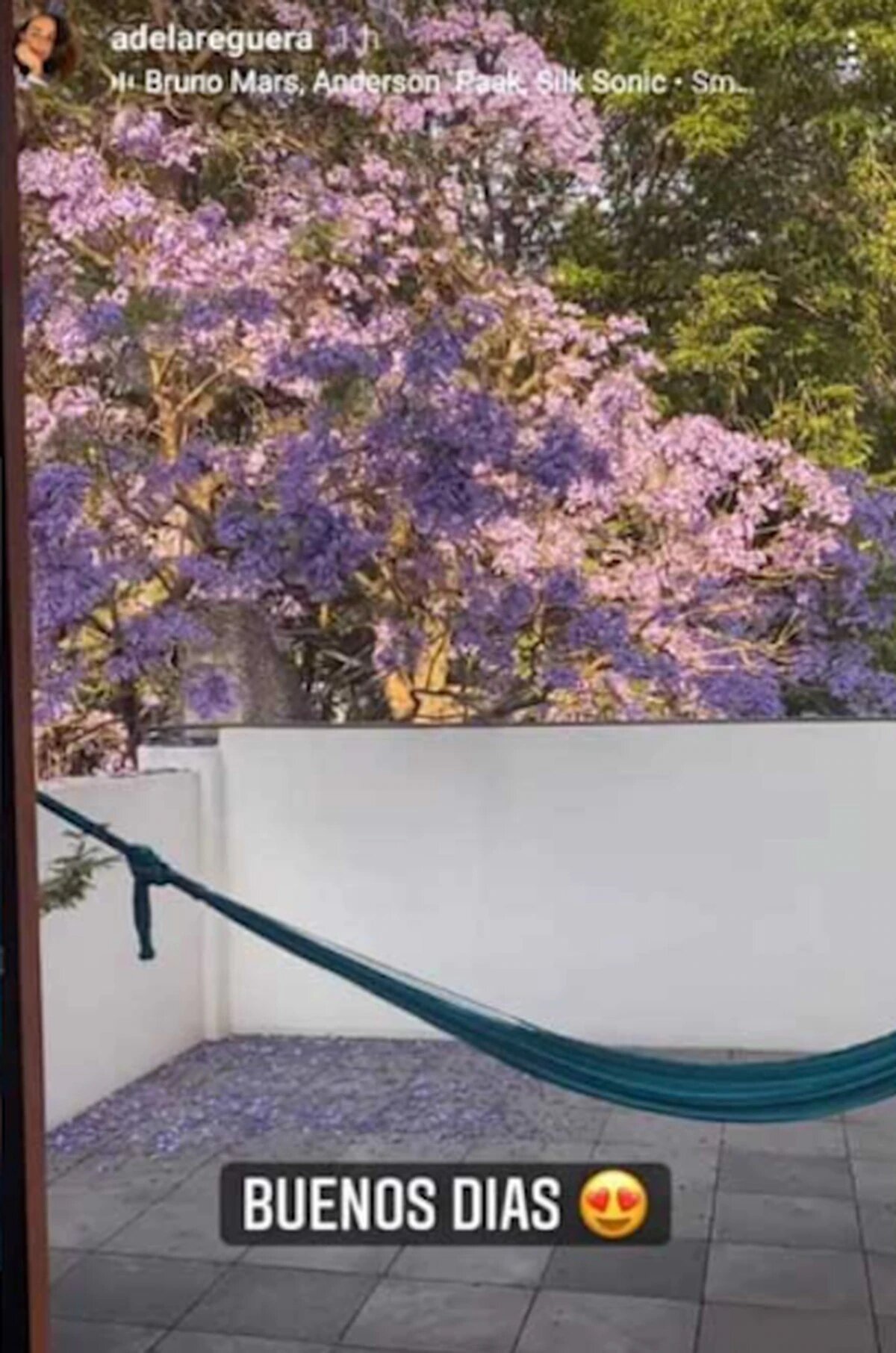 ¿Ana de la Reguera y Alfonso Herrera tienen una relación amorosa?