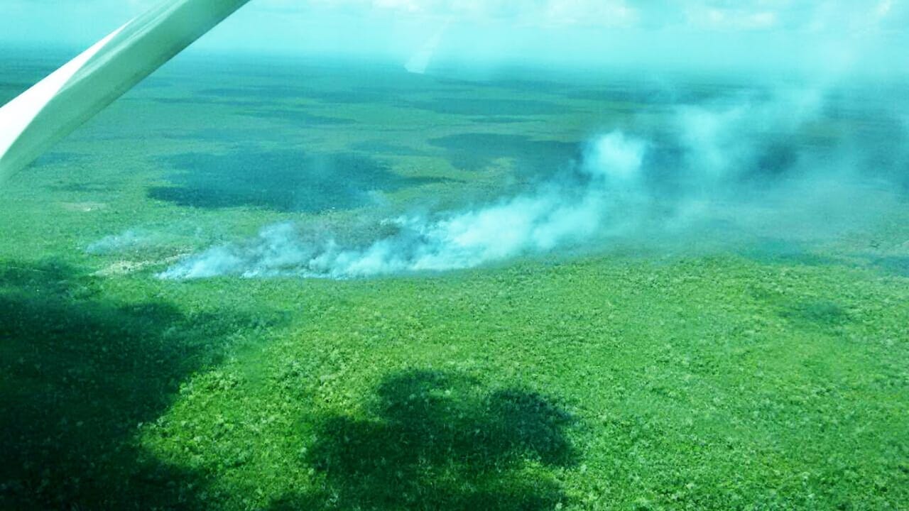 Controlan al 100% incendio forestal en Bacalar y Cancún