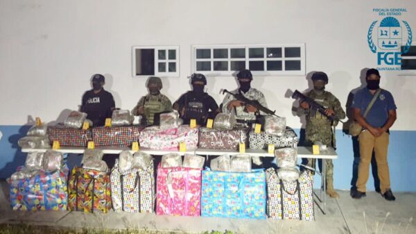 Decomisan 100 kilos de mariguana en un cateo en Playa del Carmen.