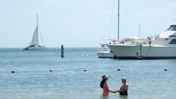 Playas de Cancún reportan muy bajo recale de sargazo.