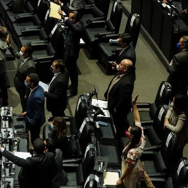 Hoy se discute la Reforma Eléctrica en la Cámara de Diputados.