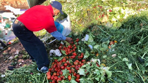 “Carestía de alimentos y hambre, una ‘bomba atómica’”
