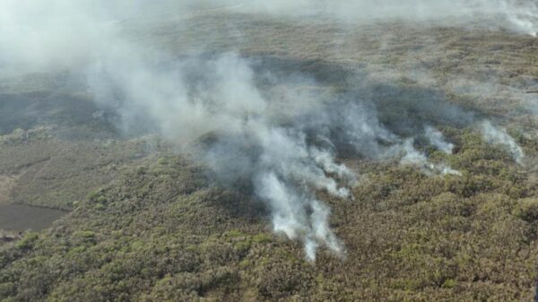 Sobrevuela CEMF conflagración “Chunek II” en Bacalar