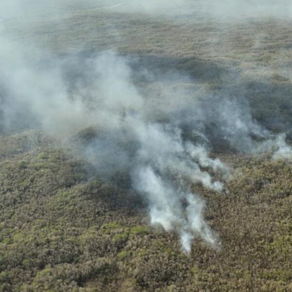 Sobrevuela CEMF conflagración “Chunek II” en Bacalar