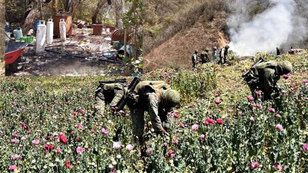 Desmantela Sedena 6 narcolaboratorios en Sinaloa y Michoacán