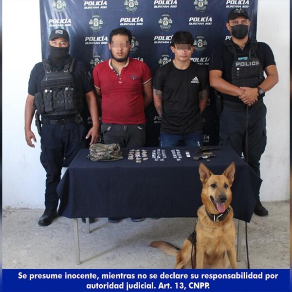  Perro policía en Cancún "atrapa" a narcomenudistas empistolados