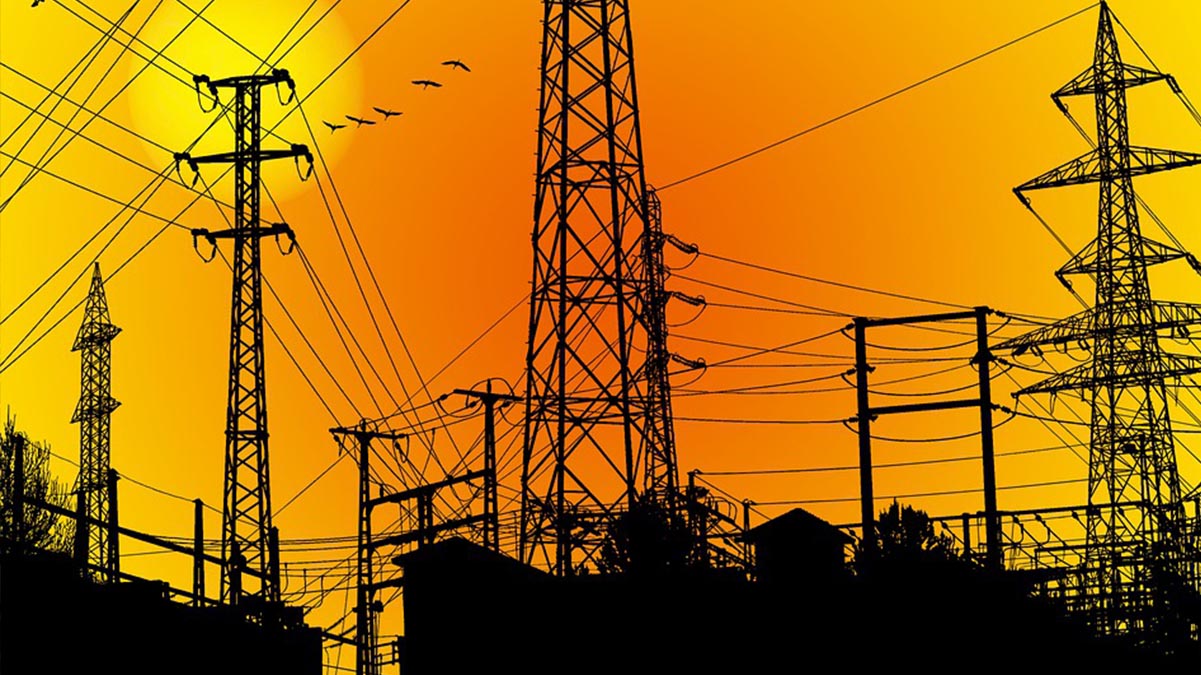 Palomean diputados reforma eléctrica de AMLO