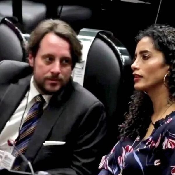 Salerno, qué es, cabildero, asesor o punta de lanza de grupos de presión