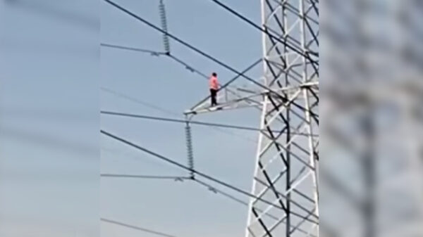 Sujeto se arroja desde una torre de alta tensión