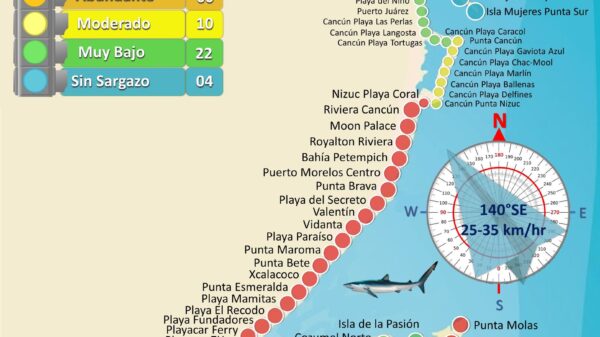 Alerta Red de Monitoreo, Quintana Roo con sargazo excesivo en 44 playas