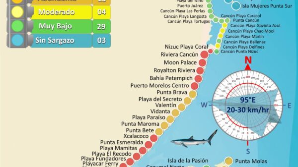 Vuelve sargazo excesivo a 31 playas de Quintana Roo