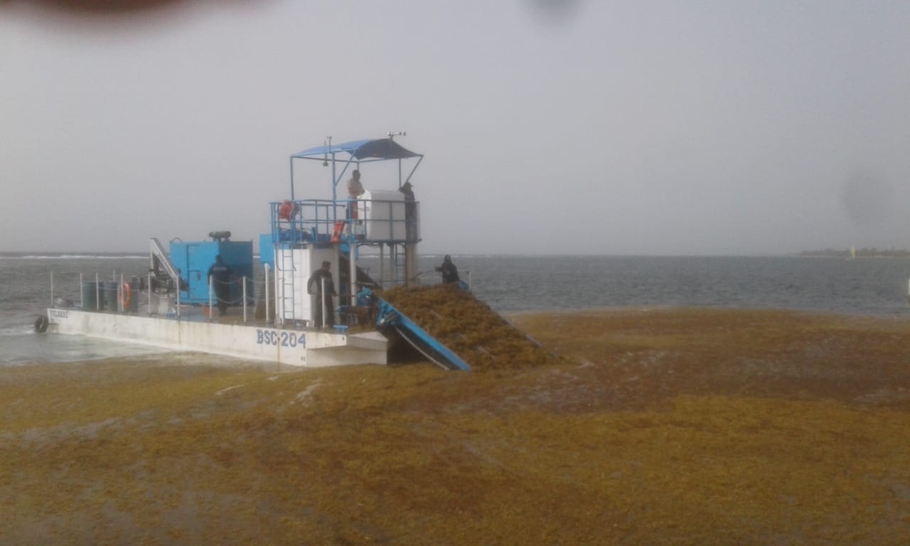 Mantiene la Marina ‘Operación Sargazo’ en Quintana Roo; El almirante Ojeda dijo que el pronóstico de afectación es de 32 mil toneladas.