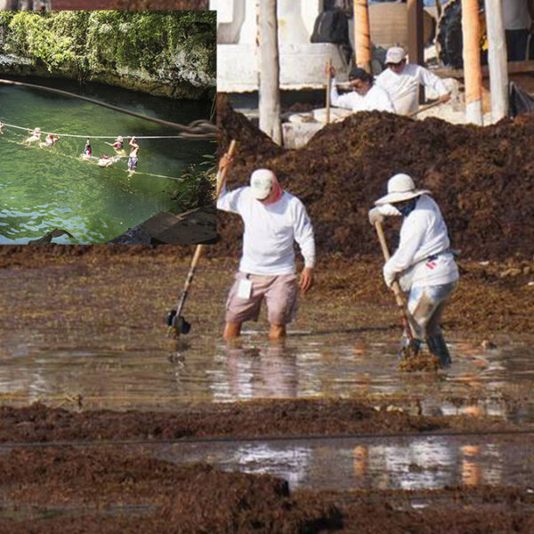 Cenotes reciben "daño colateral" por arribazón de sargazo