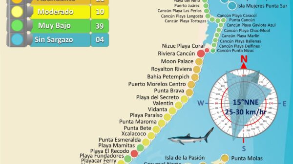 Gracias a vientos del Frente Frío baja sargazo excesivo a 6 playas