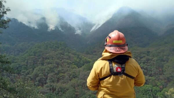 Buscan apagar incendio en sierra de Nuevo León con “lluvia artificial”