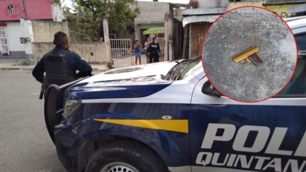Vecino de la Región 96 halla un arma de fuego en su vivienda.