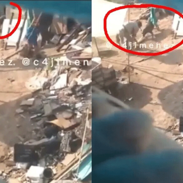 VIDEO: Sujeto es captado alimentando a sus perros con gatos