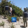 Detienen a narcomenudistas en playa Gaviota Azul.