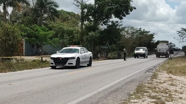 Muere un hombre atropellado en la carretera Cancún-Leona Vicario (VIDEO).