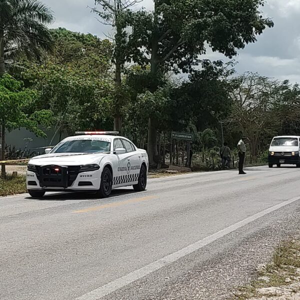 Muere un hombre atropellado en la carretera Cancún-Leona Vicario (VIDEO).