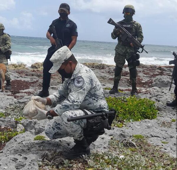 Recala en Akumal un paquete de droga conocida como hachís.
