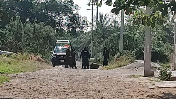 Hallan cuerpo embolsado en la Región 236 de Cancún (VIDEO).