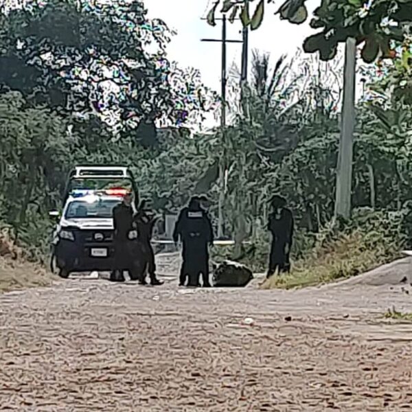 Hallan cuerpo embolsado en la Región 236 de Cancún (VIDEO).
