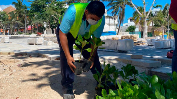 Con acciones concretas, Aguakan conmemora el Día Mundial de la Tierra
