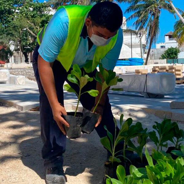 Con acciones concretas, Aguakan conmemora el Día Mundial de la Tierra
