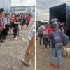 Histórico aseguramiento de inmigrantes en autopista Puebla-Orizaba.