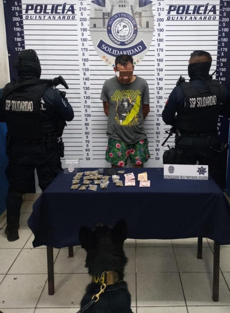 Detienen a narcomenudistas en la Colosio de Playa del Carmen; dejó caer una bolsa con marihuana al notar la presencia de binomio canino.