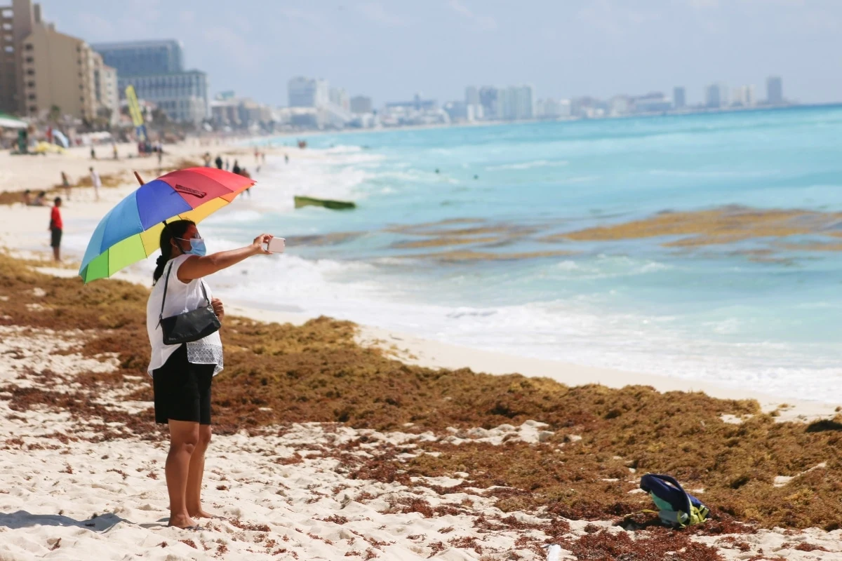 Han recalado 18 mil 905 toneladas de sargazo a Quintana Roo; al cierre del primer trimestre del año ha van más de 27 mil toneladas.
