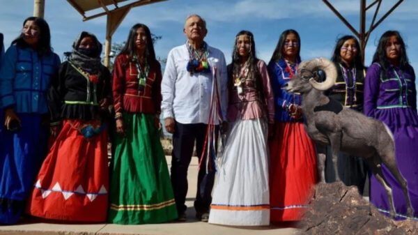 Seris rechazan suspender caza de borrego cimarrón, propuesta de AMLO