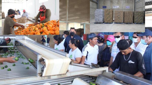 El comercio digital ofrece alternativas de comercialización de los productos del sur del estado: Carlos Joaquín