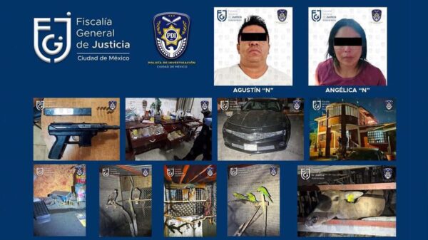 Atrapan en CDMX a "El Escorpión", sucesor de "El Ojos"