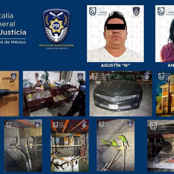 Atrapan en CDMX a "El Escorpión", sucesor de "El Ojos"