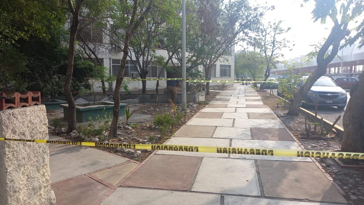 Hallan credencial de Debanhi en una jardinera de Monterrey; la identificación se encontraba intacta, a pesar del paso de los días.