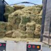 Hallan el Ejército 300 kilos de cocaína escondida en camiones de alfalfa.