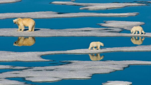 El mundo se acerca cada vez más a una “catástrofe climática”: ONU