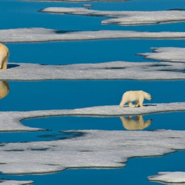 El mundo se acerca cada vez más a una “catástrofe climática”: ONU
