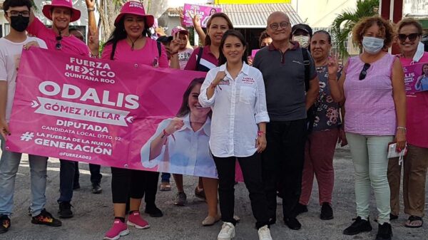 Urgente poner un alto a la violencia contra la mujer: Odalis Gómez