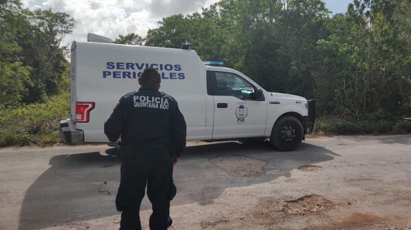 Encuentran restos humanos en la colonia El Pedregal de Cancún