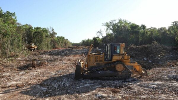 Otorgan suspensión definitiva al Tramo 5 del Tren Maya