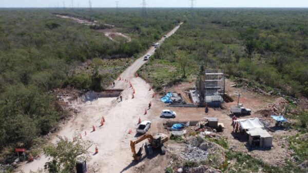Posponen resolutivo al amparo que frenaría obras del Tren Maya